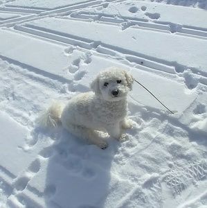 Meet your Posher, Tiana